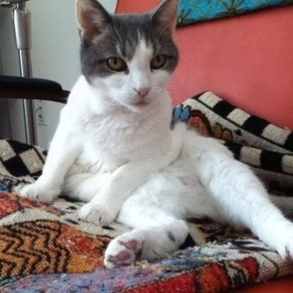 Meet your Posher, Mary